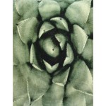Μαξιλάρι ArteLibre Πράσινο Βελούδο 40x60cm
