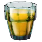 Ποτήρια Ποτού Στοίβαξης Cactus 240ml Σετ 4τμχ ALPINA