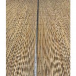 Καλαμωτή ArteLibre ELNICK Με Ολόκληρο Καλάμι 1x3m