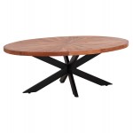 ΤΡΑΠΕΖΙ ΣΑΛΟΝΙΟΥ ΟΒΑΛ MONTANA SUPERIOR HM9906 ΞΥΛΟ ΑΚΑΚΙΑΣ-ΜΕΤΑΛΛΟ 120x61x45Υεκ.