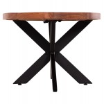 ΤΡΑΠΕΖΙ ΣΑΛΟΝΙΟΥ ΟΒΑΛ MONTANA SUPERIOR HM9906 ΞΥΛΟ ΑΚΑΚΙΑΣ-ΜΕΤΑΛΛΟ 120x61x45Υεκ.