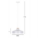 ΦΩΤΙΣΤΙΚΟ ΟΡΟΦΗΣ ΚΡΕΜΑΣΤΟ HM4159.02 ΛΕΥΚΟ ΜΕΤΑΛΛΙΚΟ ΚΑΠΕΛΟ Φ40x116Υεκ