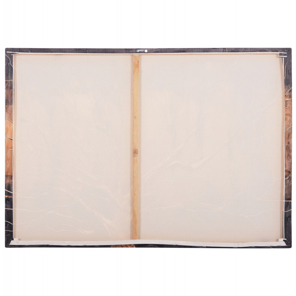 ΠΙΝΑΚΑΣ TOIXOY ΣΕΙΡΑ GOBI HM4861 ΕΚΤΥΠΩΜΕΝΟΣ ΚΑΜΒΑΣ 98x2,5(πάχος)x68Υεκ.