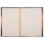 ΠΙΝΑΚΑΣ TOIXOY ΣΕΙΡΑ GOBI HM4861 ΕΚΤΥΠΩΜΕΝΟΣ ΚΑΜΒΑΣ 98x2,5(πάχος)x68Υεκ.