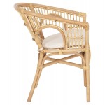 ΠΟΛΥΘΡΟΝΑ DAMPAR HM9929.04 RATTAN ΣΕ ΦΥΣΙΚΟ-ΛΕΥΚΟ ΜΑΞΙΛΑΡΙ 59x61x80Υεκ.