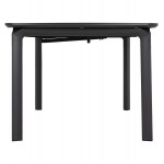 ΤΡΑΠΕΖΙ ΕΠΕΚΤΕΙΝΟΜΕΝΟ SYMPO HM6415.01 ΓΚΡΙ ΑΛΟΥΜΙΝΙΟ 220-300x100x75Υεκ