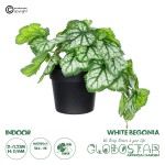 GloboStar® Artificial Garden WHITE BEGONIA PLANT 20947 Διακοσμητικό Φυτό Λευκή Μπιγόνια Φ23 x Υ16cm