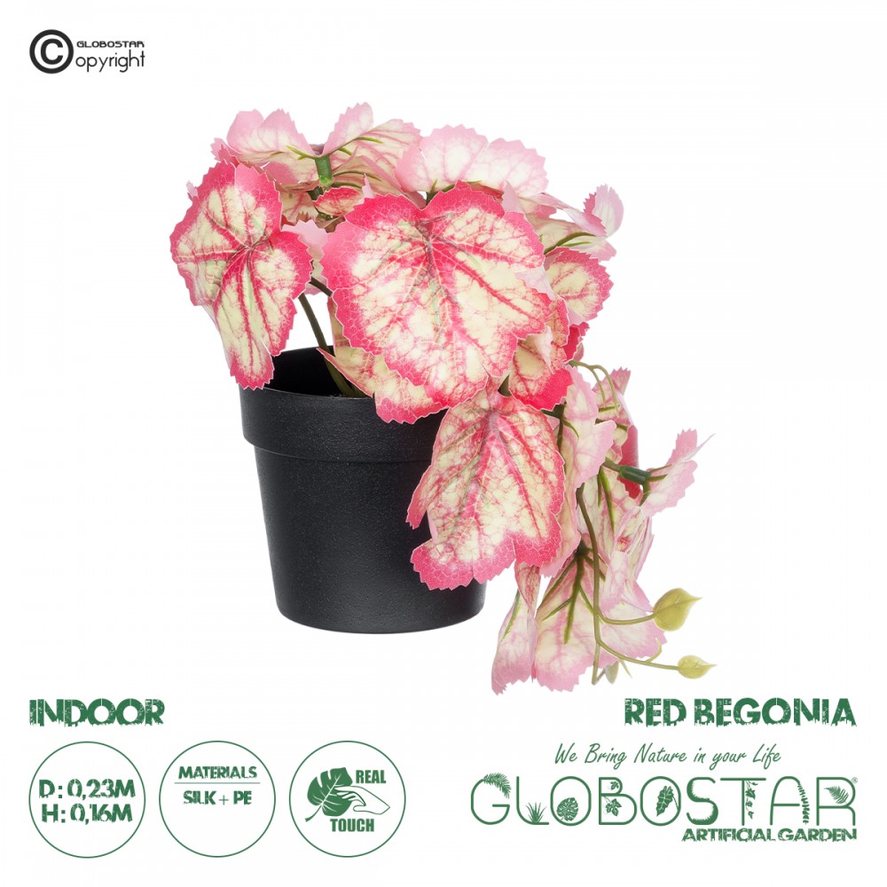 GloboStar® Artificial Garden RED BEGONIA PLANT 20948 Διακοσμητικό Φυτό Κόκκινη Μπιγόνια Φ23 x Υ16cm