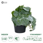GloboStar® Artificial Garden STRAWBERRY PLANT 20950 Διακοσμητικό Φυτό Φραουλιά Φ23 x Υ16cm