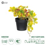 GloboStar® Artificial Garden SCHEFFLERA MIX PLANT 20956 Διακοσμητικό Φυτό Σεφλέρα Φ20 x Υ18cm