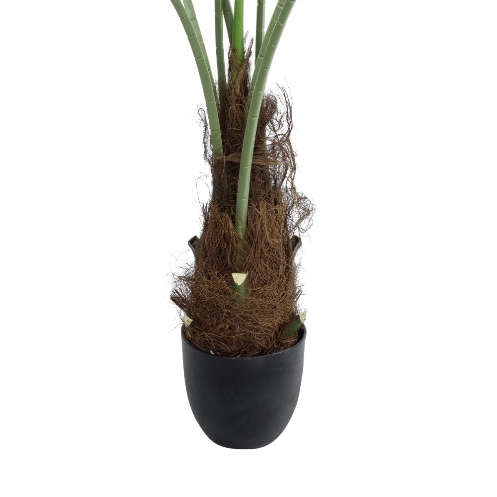 GloboStar® Artificial Garden SERENOA PALM PLANT 20971 Διακοσμητικό Φυτό Φοίνικα Σερενόα Φ60 x Υ140cm