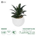 GloboStar® Artificial Garden SUCCULENT ALOE POTTED PLANT 20983 Διακοσμητικό Φυτό Αλόης Φ9 x Υ12cm