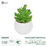 GloboStar® Artificial Garden SUCCULENT CRASSULA POTTED PLANT 20986 Διακοσμητικό Φυτό Κρασούλα Φ6 x Υ10cm