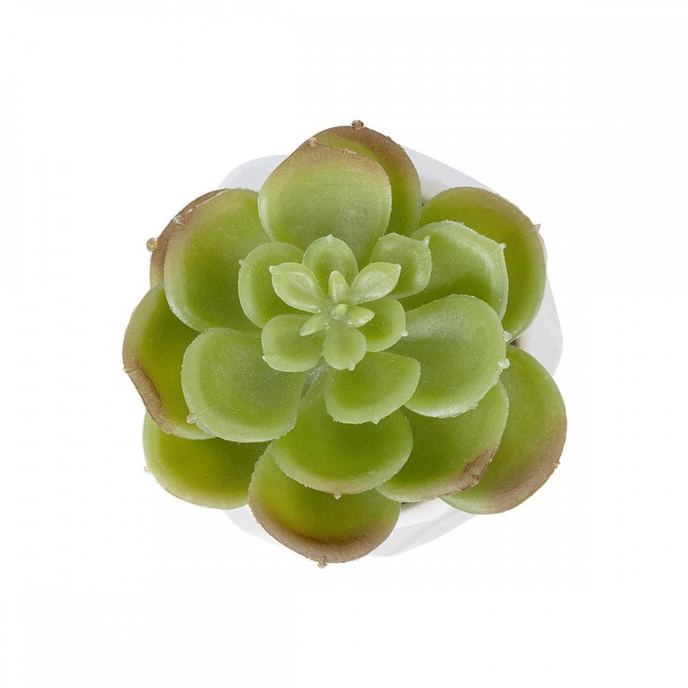 GloboStar® Artificial Garden SUCCULENT ECHEVERIA POTTED PLANT 20991 Διακοσμητικό Φυτό Εχεβέρια Φ6 x Υ8,5cm