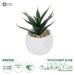 GloboStar® Artificial Garden SUCCULENT ALOE POTTED PLANT 20992 Διακοσμητικό Φυτό Αλόη Φ8 x Υ12cm