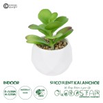 GloboStar® Artificial Garden SUCCULENT KALANCHOE POTTED PLANT 20995 Διακοσμητικό Φυτό Καλαχόη  Φ8 x Υ10cm