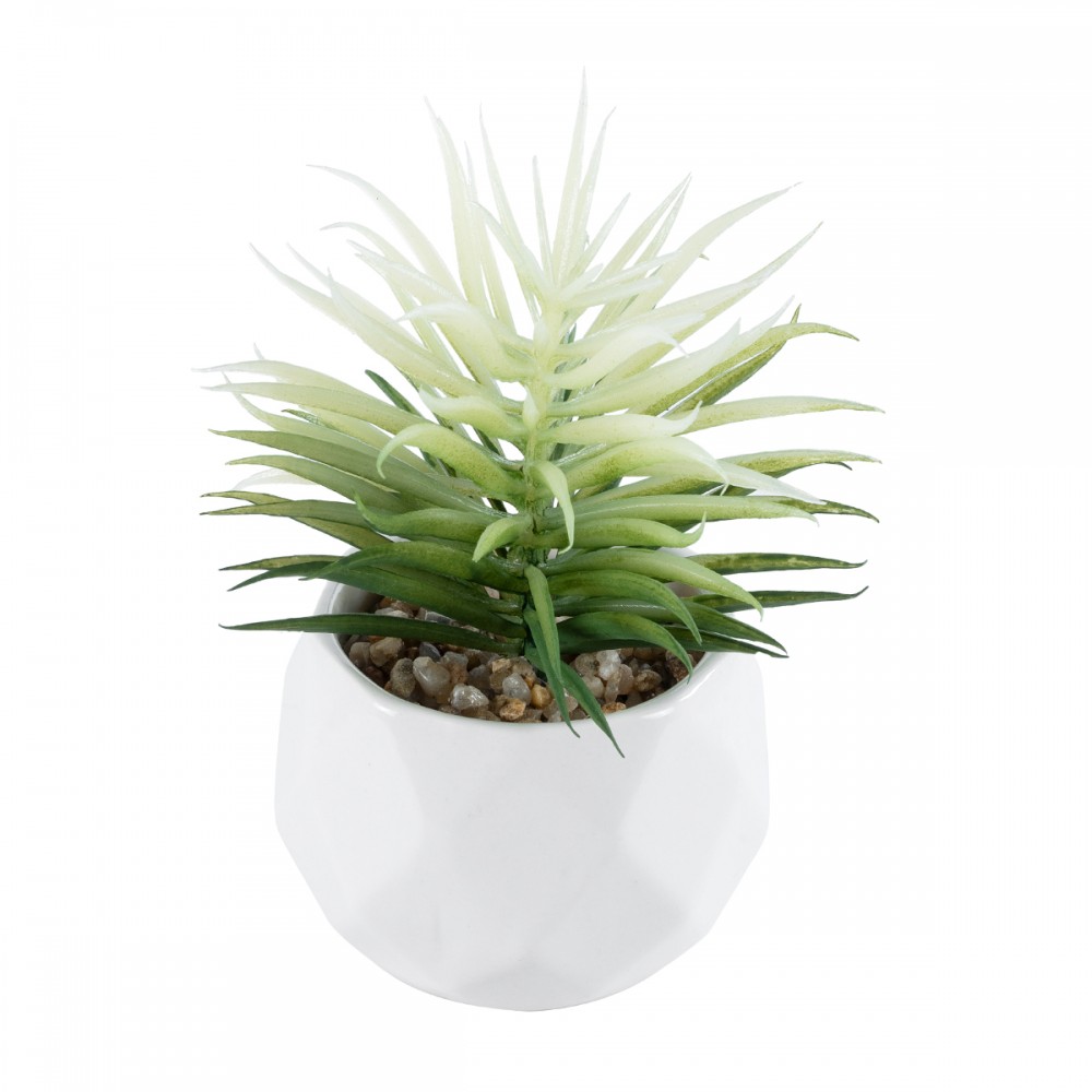 GloboStar® Artificial Garden SUCCULENT SENECIO 20997 Διακοσμητικό Φυτό Παχύφυτο Σενέκιο Υ12cm