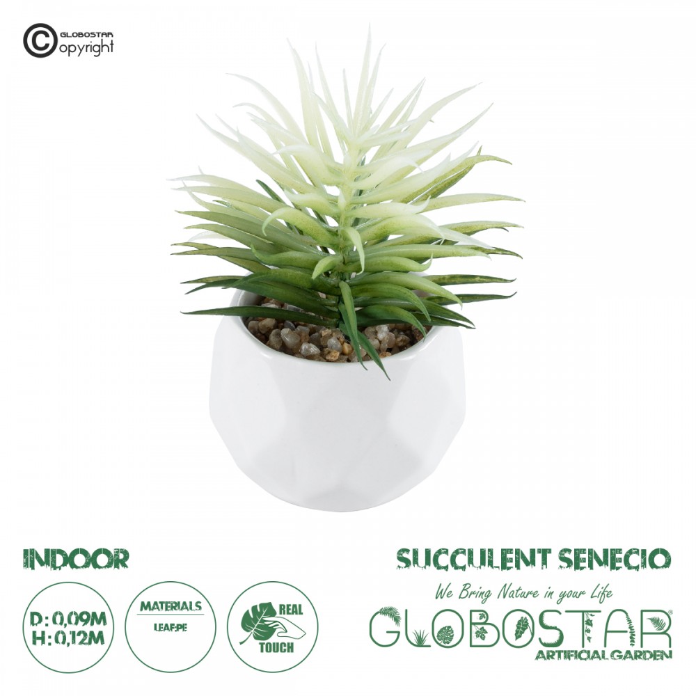 GloboStar® Artificial Garden SUCCULENT SENECIO 20997 Διακοσμητικό Φυτό Παχύφυτο Σενέκιο Υ12cm