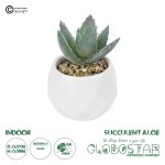 GloboStar® Artificial Garden SUCCULENT ALOE POTTED PLANT 20999 Διακοσμητικό Φυτό Αλόη  Φ7 x Υ9cm
