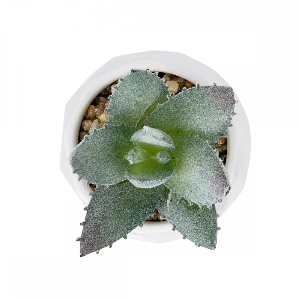 GloboStar® Artificial Garden SUCCULENT ALOE POTTED PLANT 20999 Διακοσμητικό Φυτό Αλόη  Φ7 x Υ9cm