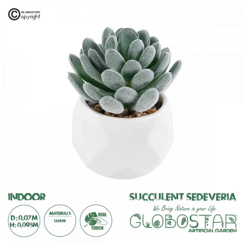 GloboStar® Artificial Garden SUCCULENT SEDEVERIA 21001 Διακοσμητικό Φυτό Παχύφυτο Σεντεβέρια Υ9.5cm