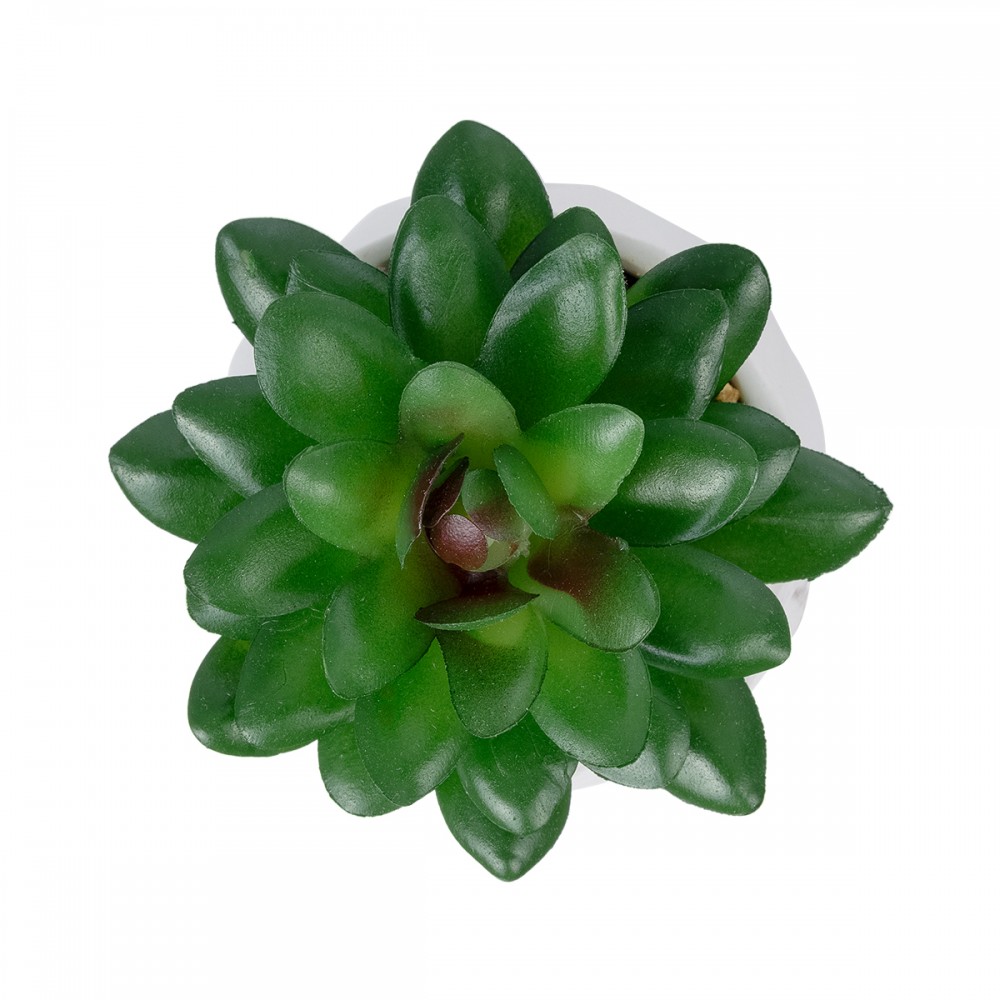 GloboStar® Artificial Garden SUCCULENT SEDEVERIA POTTED PLANT 21002 Διακοσμητικό Φυτό Σεδεβέρια  Φ8 x Υ9cm