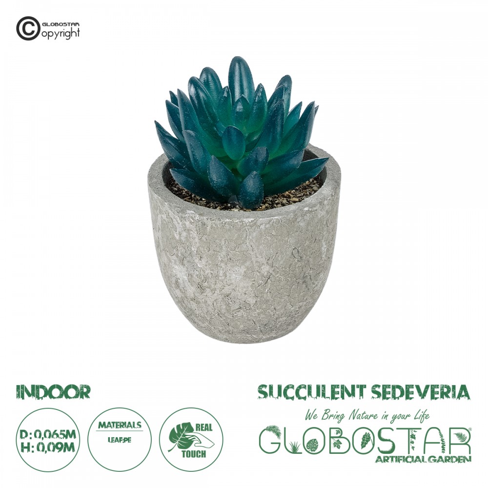 GloboStar® Artificial Garden SUCCULENT SEDEVERIA POTTED PLANT 21018 Διακοσμητικό Φυτό Σεδεβέρια  Φ6,5 x Υ9cm