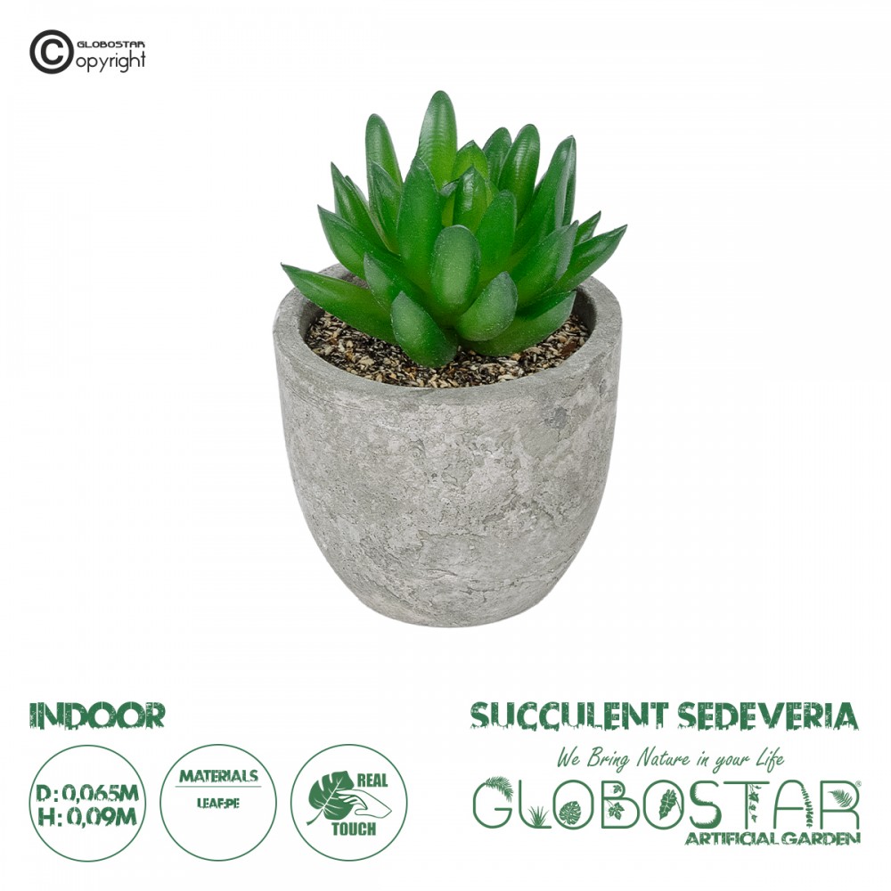 GloboStar® Artificial Garden SUCCULENT SEDEVERIA POTTED PLANT 21019 Διακοσμητικό Φυτό Σεδεβέρια  Φ6,5 x Υ9cm