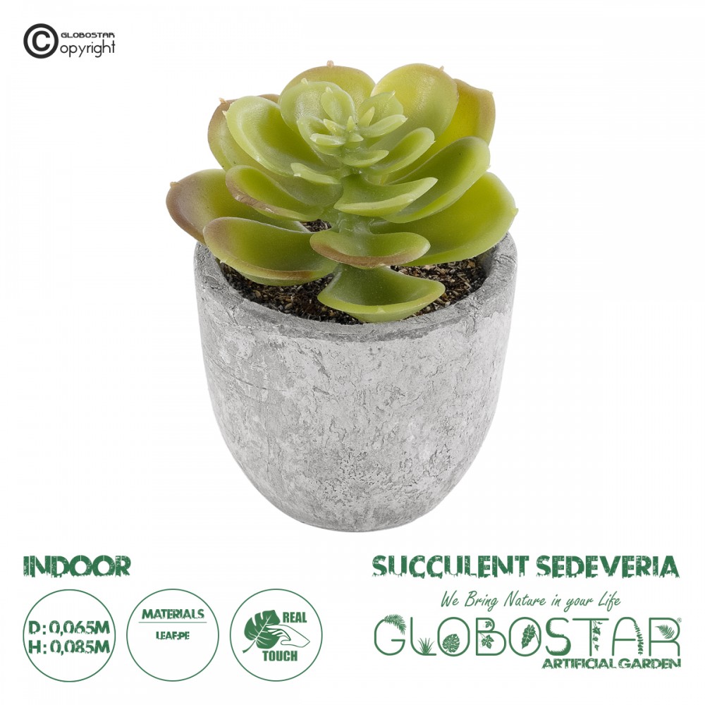 GloboStar® Artificial Garden SUCCULENT SEDEVERIA 21021 Διακοσμητικό Φυτό Παχύφυτο Σεντεβέρια Υ8.5cm