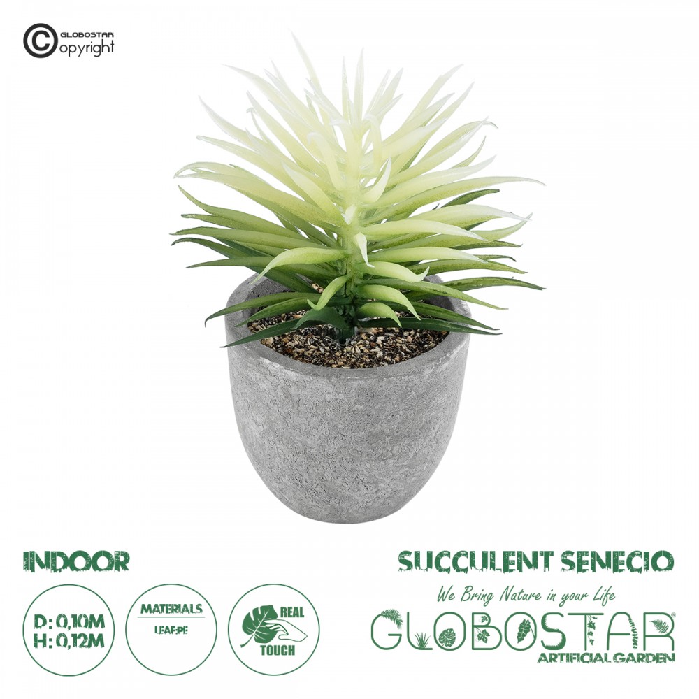 GloboStar® Artificial Garden SUCCULENT SENECIO 21024 Διακοσμητικό Φυτό Παχύφυτο Σενέκιο Υ12cm
