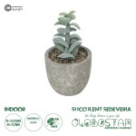 GloboStar® Artificial Garden SUCCULENT SEDEVERIA POTTED PLANT 21027 Διακοσμητικό Φυτό Σεδεβέρια  Φ5 x Υ11cm
