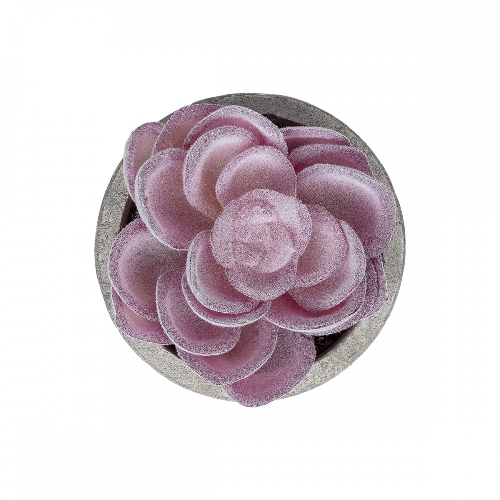 GloboStar® Artificial Garden SUCCULENT SEDEVERIA POTTED PLANT 21028 Διακοσμητικό Φυτό Σεδεβέρια  Φ5x Υ11cm