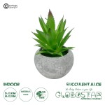 GloboStar® Artificial Garden SUCCULENT ALOE POTTED PLANT 21037 Διακοσμητικό Φυτό Αλόη Φ10 x Υ15cm