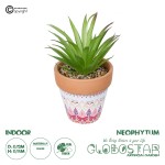 GloboStar® Artificial Garden AIR PLANT NEOPHYTUM POTTED PLANT 21043 Διακοσμητικό Φυτό Νεόφυτο Φ12 x Υ15cm