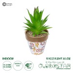 GloboStar® Artificial Garden SUCCULENT ALOE POTTED PLANT 21044 Διακοσμητικό Φυτό Αλόη Φ12 x Υ16cm