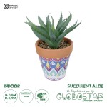 GloboStar® Artificial Garden SUCCULENT ALOE POTTED PLANT 21053 Διακοσμητικό Φυτό Αλόη  Φ15 x Υ19cm