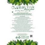 GloboStar® Artificial Garden ORANGE TREE 21109 Τεχνητό Διακοσμητικό Δέντρο Πορτοκαλιά Μ90 x Π70 x Υ160cm