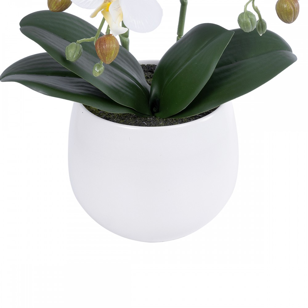 GloboStar® Artificial Garden WHITE ORCHID 21117 Διακοσμητικό Φυτό Λευκή Ορχιδέα Υ45cm