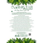 GloboStar® Artificial Garden GREEN GRASS BOUQUET 21161 Τεχνητό Διακοσμητικό Μπουκέτο Grass Πράσινο Y70cm