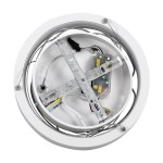 GloboStar® NEMESIS 61153 Κρεμαστό Φωτιστικό Δαχτυλίδι-Κύκλος LED CCT 20W 2356lm 360° AC 220-240V - Εναλλαγή Φωτισμού μέσω Τηλεχειριστηρίου All In One Ψυχρό 6000k+Φυσικό 4500k+Θερμό 2700k Dimmable Φ25cm - Λευκό - 3 Years Warranty