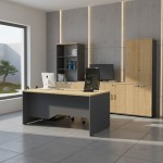 Ντουλάπι γραφείου με κλειδαριά επαγγελματικό Venturo Megapap χρώμα ανθρακί - φυσικό οξιάς 80x40x80εκ.