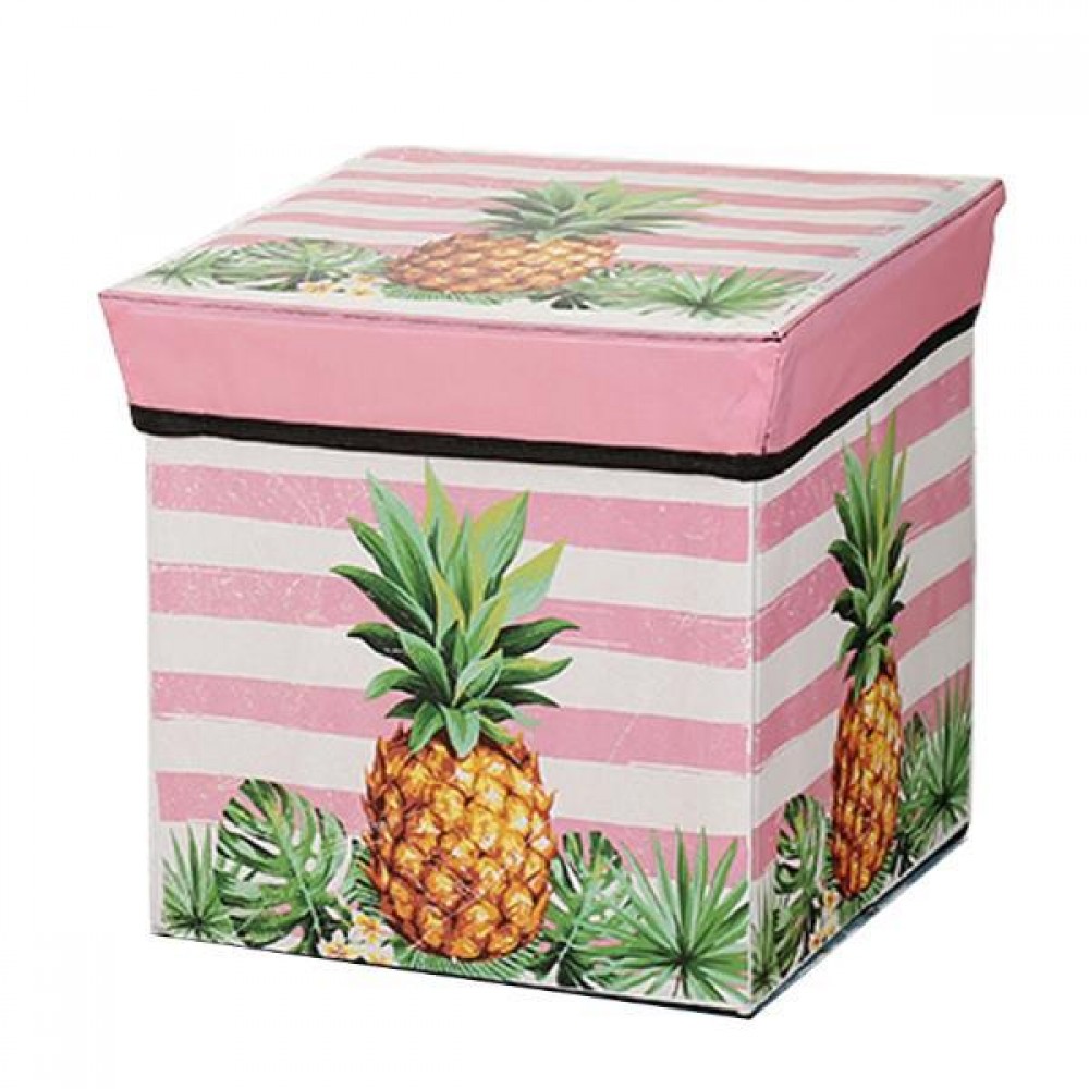 Κουτί αποθήκευσης ανανάς Υ30x30x30εκ. T