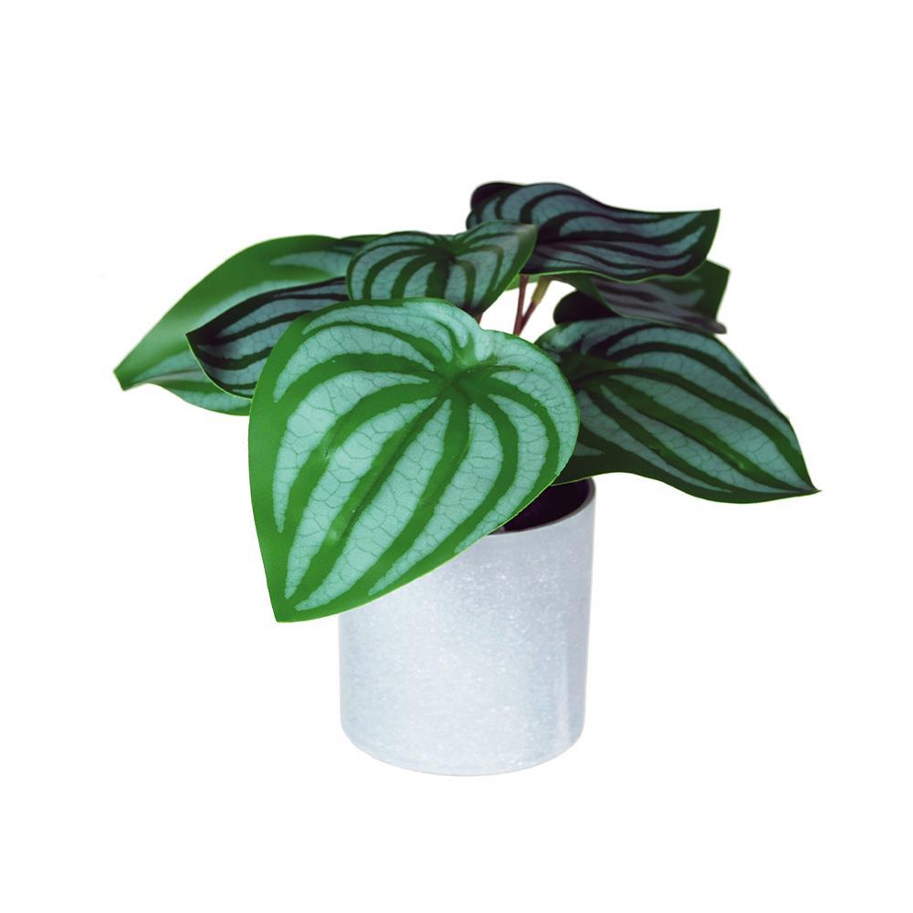 Φυτό τεχνητό Σαξιφράγκα 18εκ., σε γκρι πλαστικό γλαστράκι Ø8xΥ8εκ.