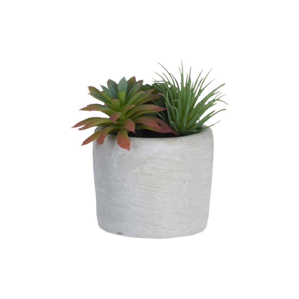 Φυτό τεχνητό παχύφυτα I 10εκ., σε κεραμικό γλαστράκι Ø7xΥ6,5εκ.