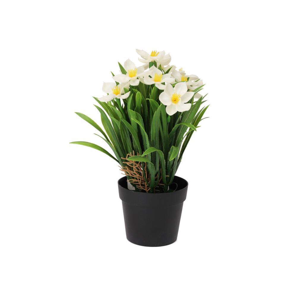 Μαργαρίτα λευκή τεχνητή Υ26x10x10εκ.  σε μαύρη γλάστρα