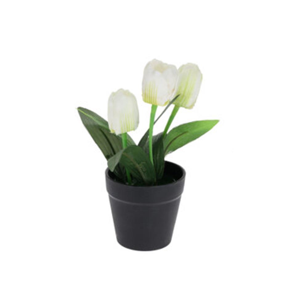 Τουλίπα λευκή τεχνητή Υ22x7x7εκ.  σε μαύρη γλάστρα