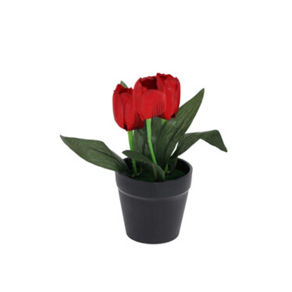 Τουλίπα κόκκινη τεχνητή Υ22x7x7εκ.  σε μαύρη γλάστρα