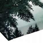 Πίνακας σε καμβά Siely pakoworld με ψηφιακή εκτύπωση 40x3x60εκ