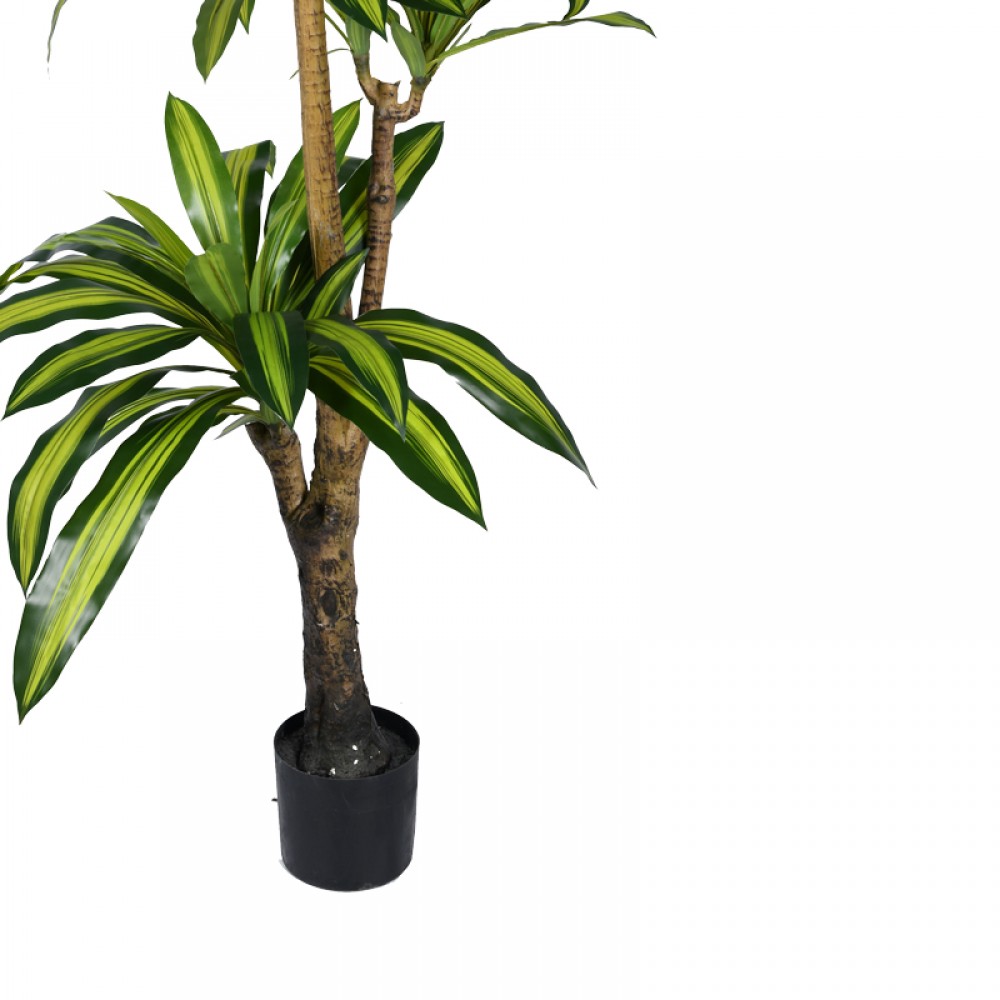 Διακοσμητικό φυτό Dracaena I σε γλάστρα Inart  πράσινο pp Υ170εκ
