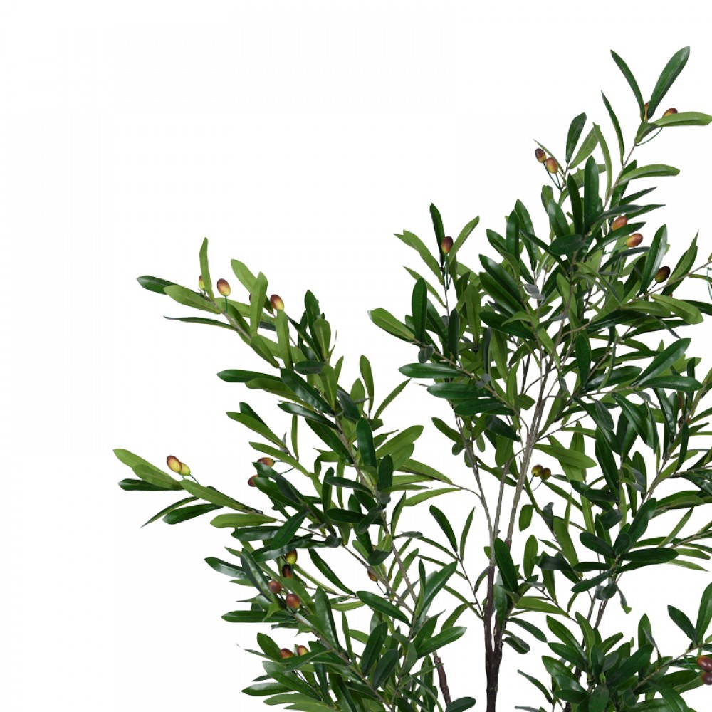 Διακοσμητικό φυτό Olive tree I σε γλάστρα Inart πράσινο pp Υ150εκ